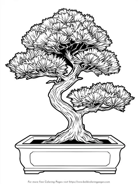 Shallow Pot Bonsai Tree Coloring Page