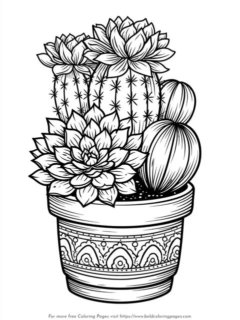 Round Cactus Pot Coloring Page
