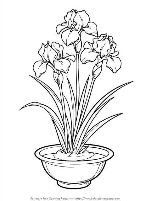 Japanese Ikebana Coloring Page