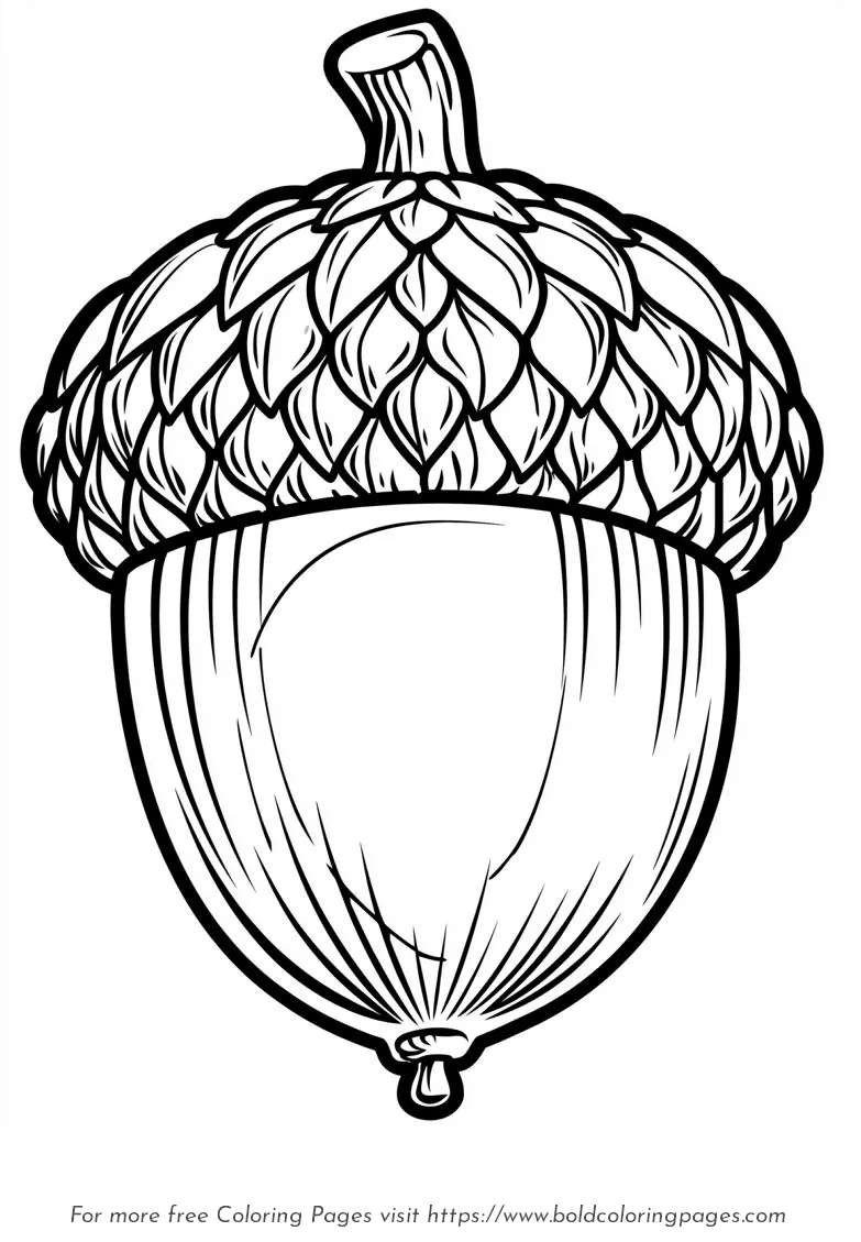 Large Print Acorn Coloring Page