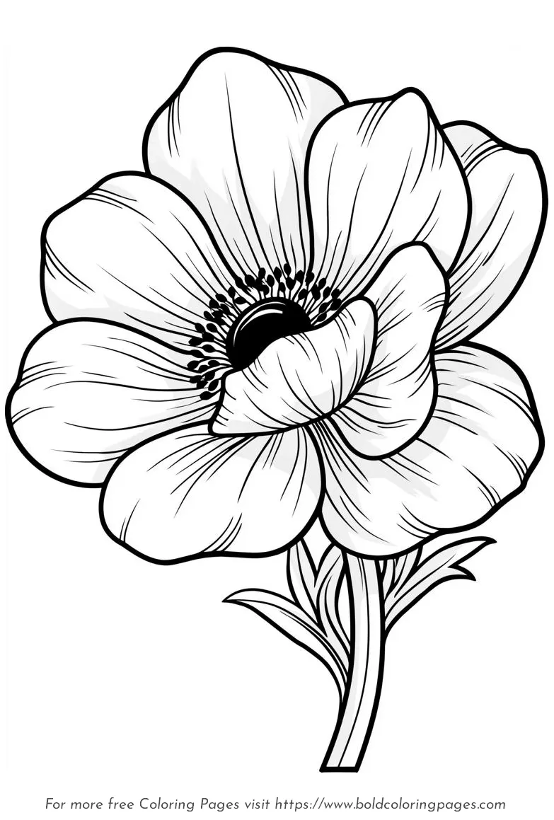 Large Print Anemone Broad Petals Coloring Page