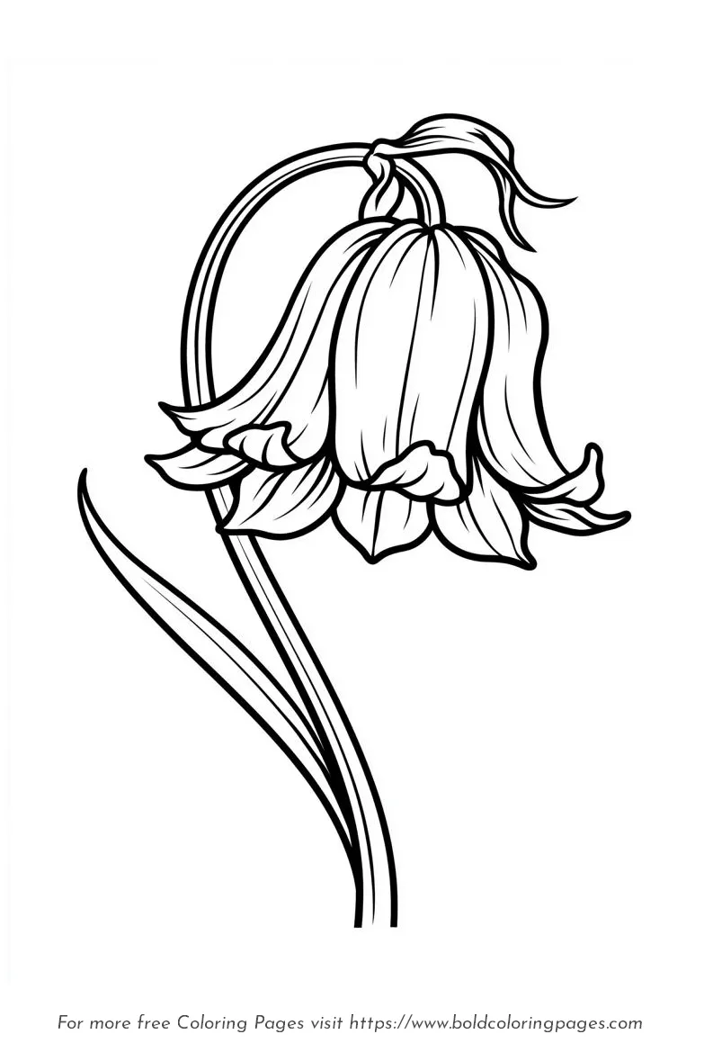 Large Print Bluebell Curved Stem Coloring Page