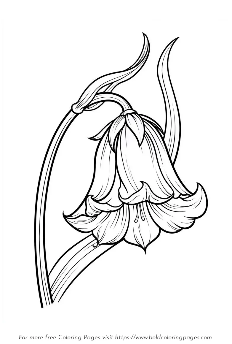 Large Print Bluebell Drooping Bell Coloring Page