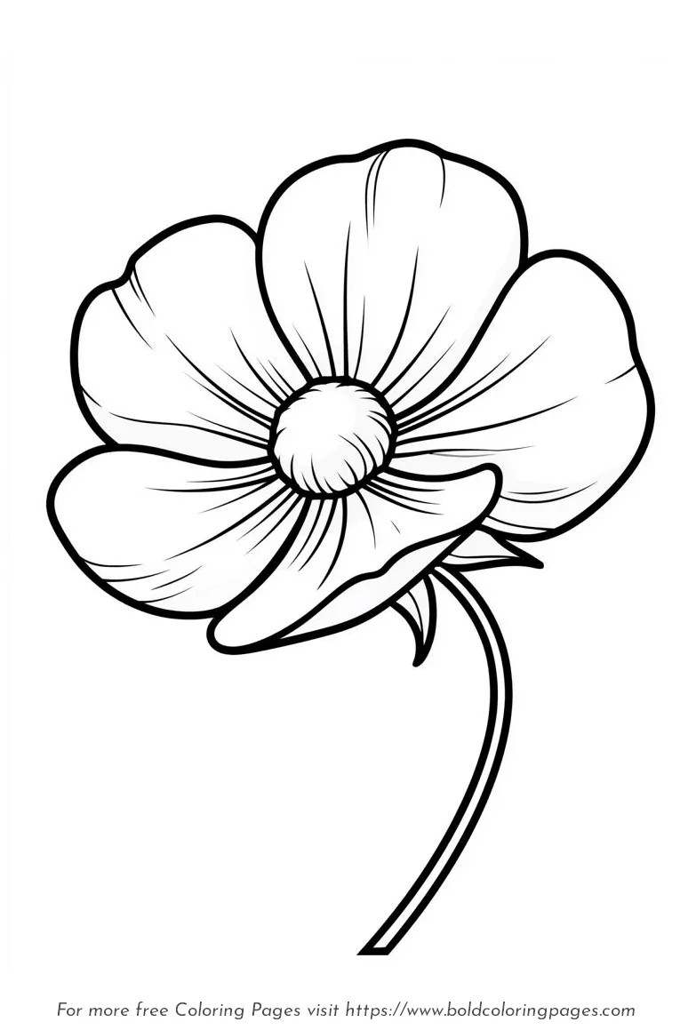 Large Print Buttercup Rounded Petals Coloring Page