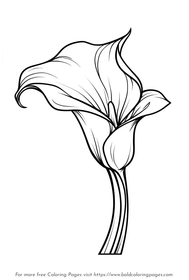 Large Print Calla Lily Single Stem Coloring Page