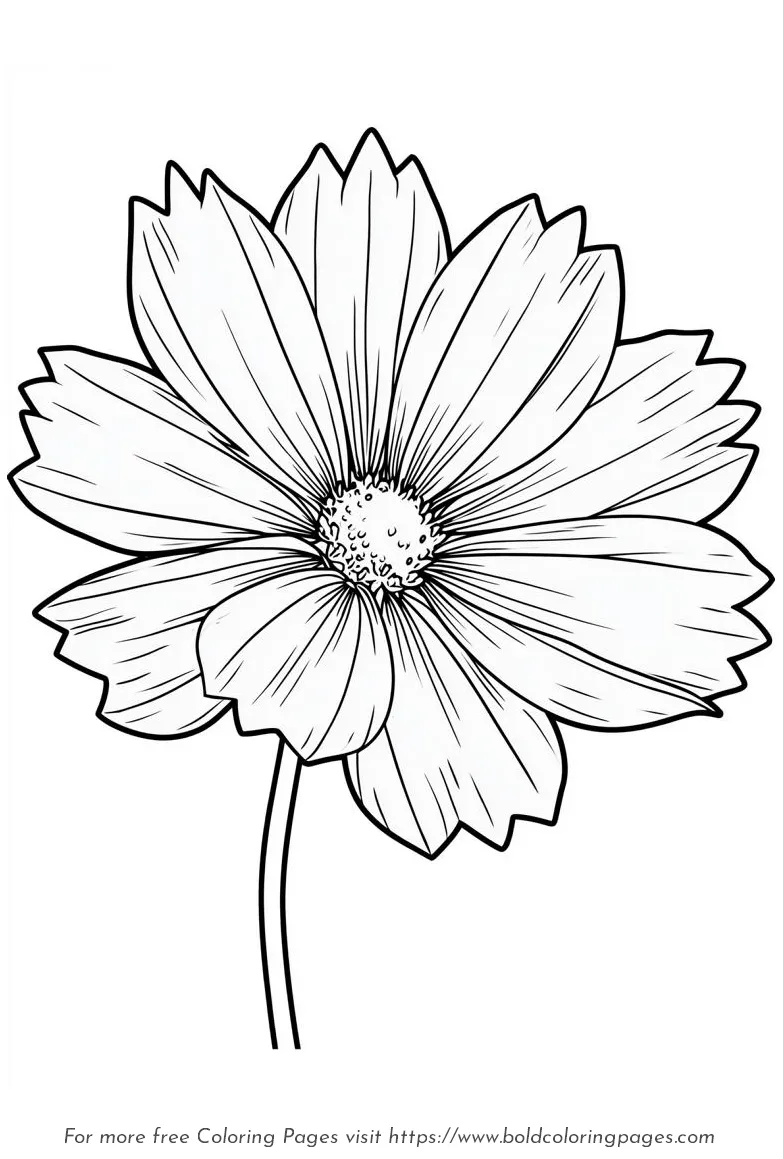Large Print Cosmos Flower Front View Coloring Page