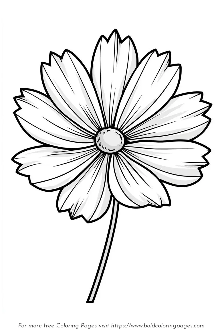 Large Print Cosmos Flower Simple Stem Coloring Page