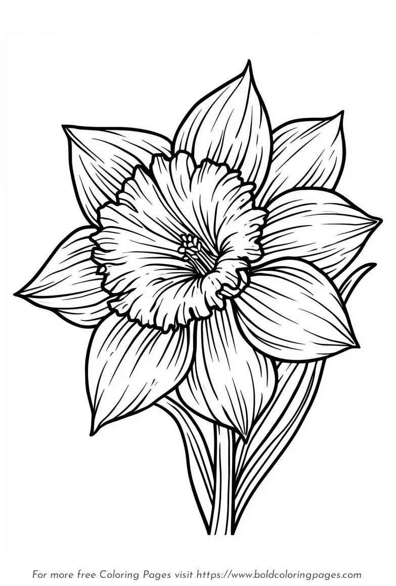 Large Print Daffodil Trumpet Center Coloring Page