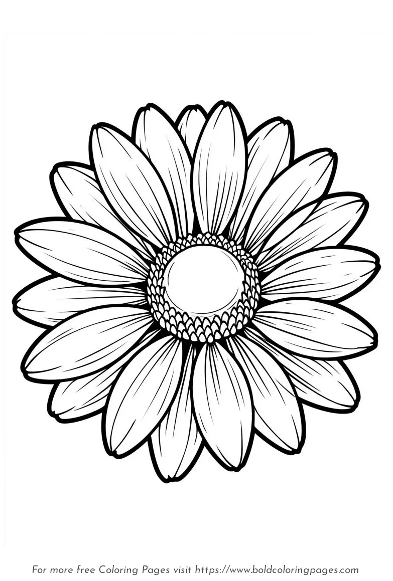 Large Print Daisy Rounded Petals Coloring Page