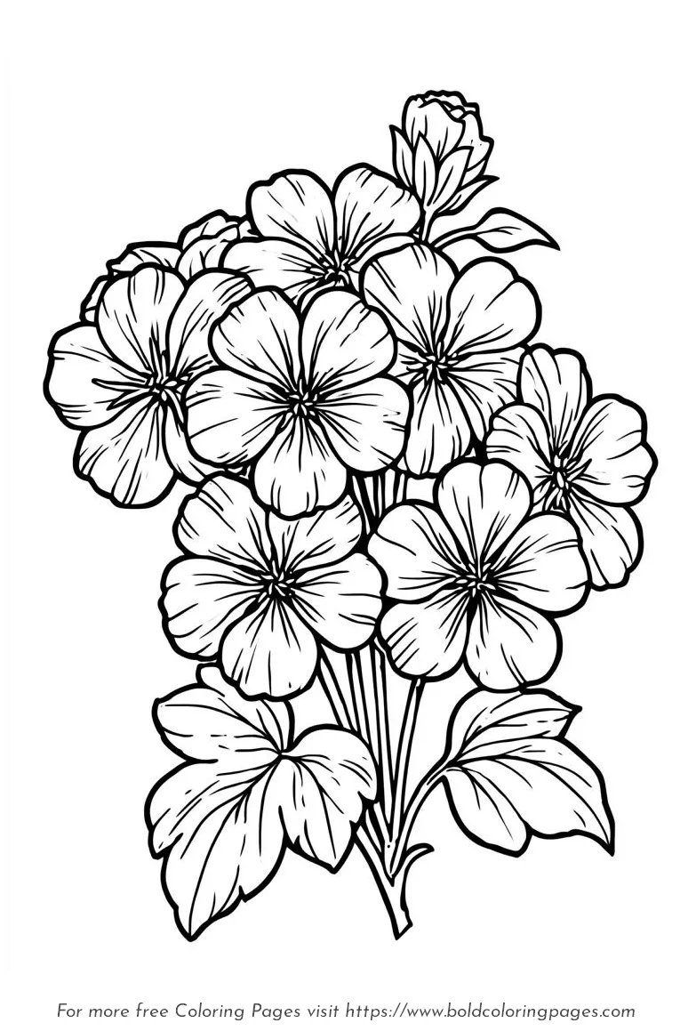 Large Print Geranium Flower Cluster Coloring Page