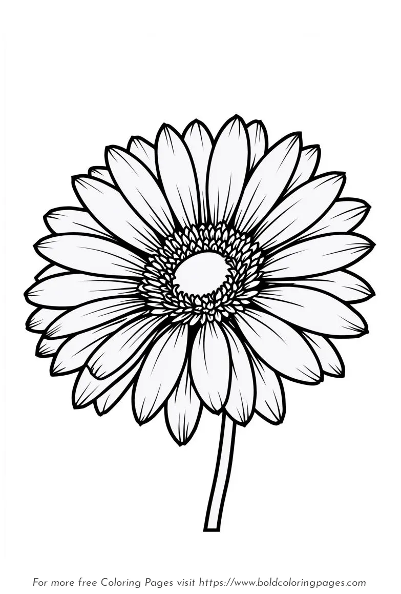Large Print Gerbera Daisy Flat Petals Coloring Page