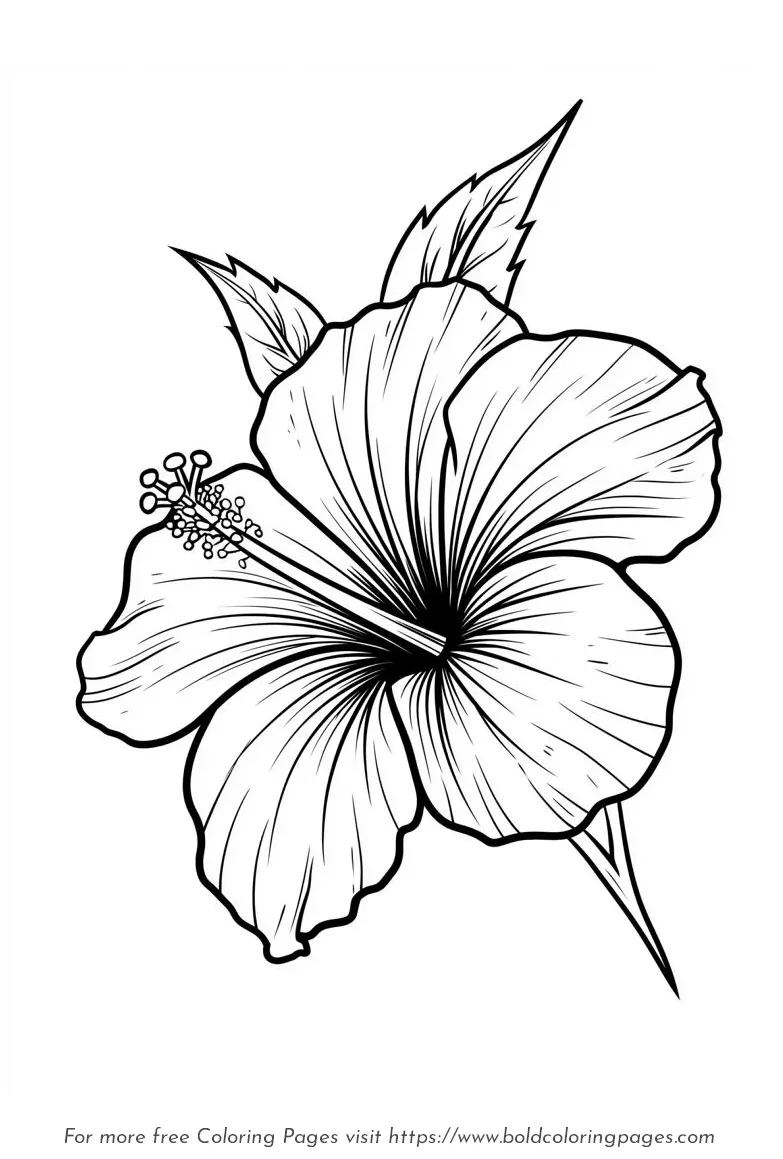 Large Print Hibiscus Side Bloom Coloring Page