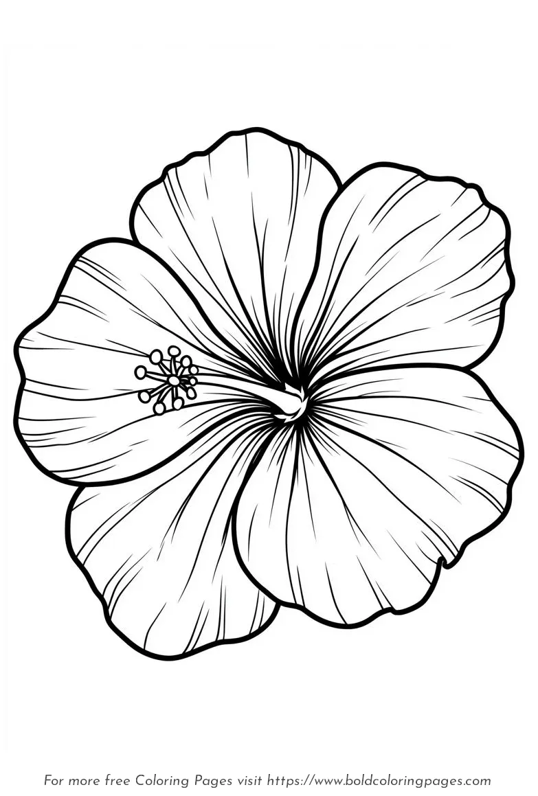 Large Print Hibiscus Single Bloom Coloring Page