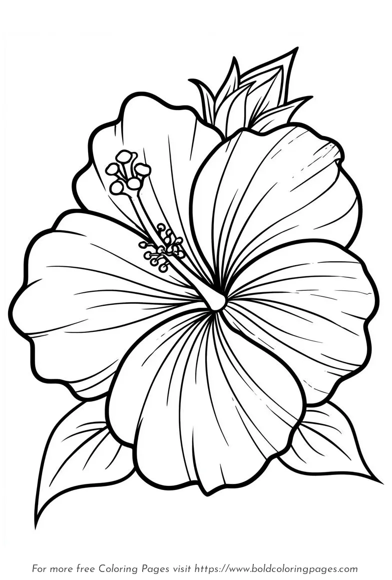 Large Print Hibiscus Wide Petals Coloring Page
