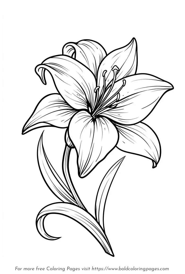 Large Print Lily Pointed Petals Coloring Page