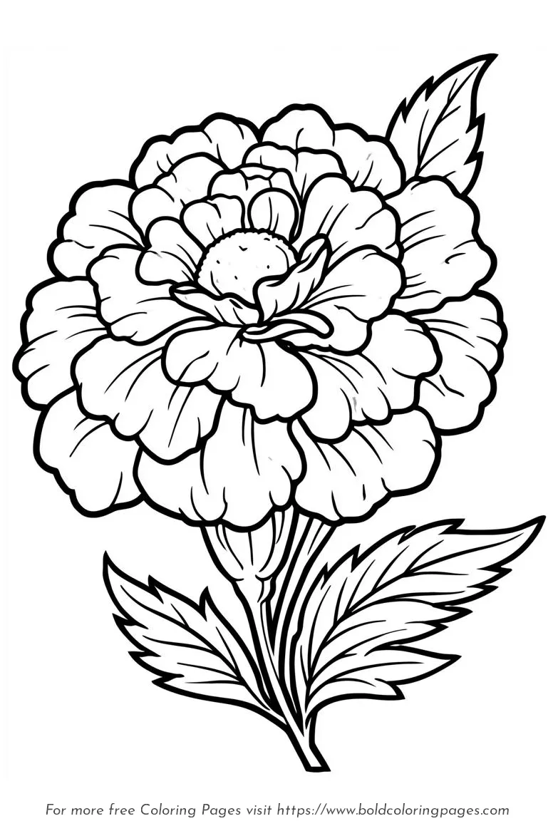 Large Print Marigold Layered Flower Coloring Page