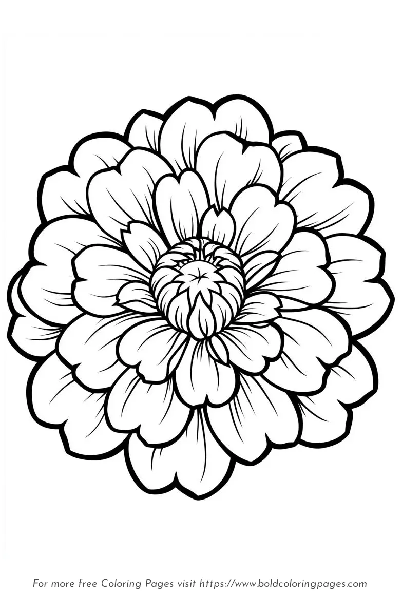 Large Print Marigold Round Bloom Coloring Page
