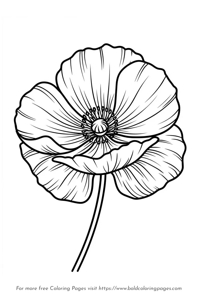Large Print Poppy Flower Stem Coloring Page
