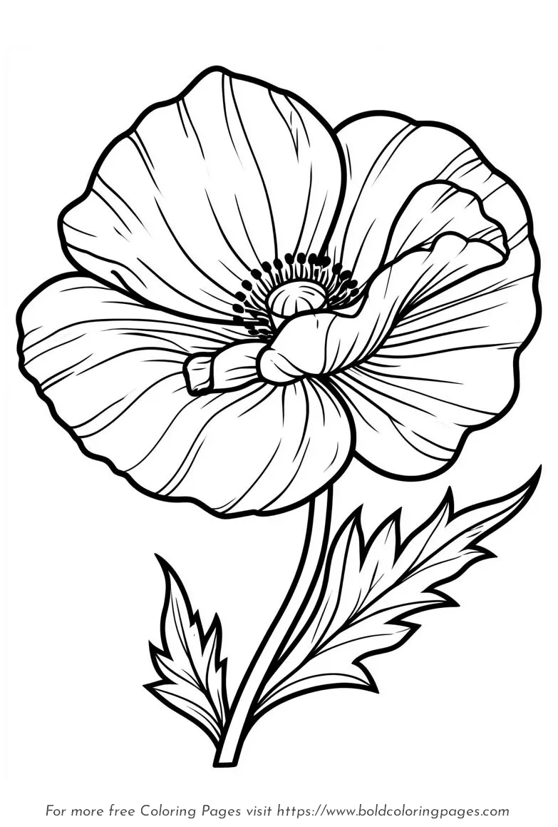 Large Print Poppy Open Bloom Coloring Page