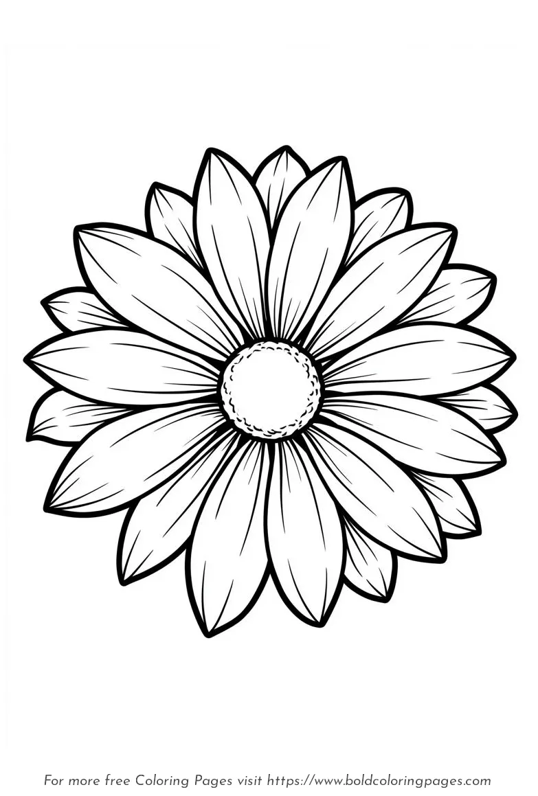 Large Print Single Daisy Broad Petals Coloring Page