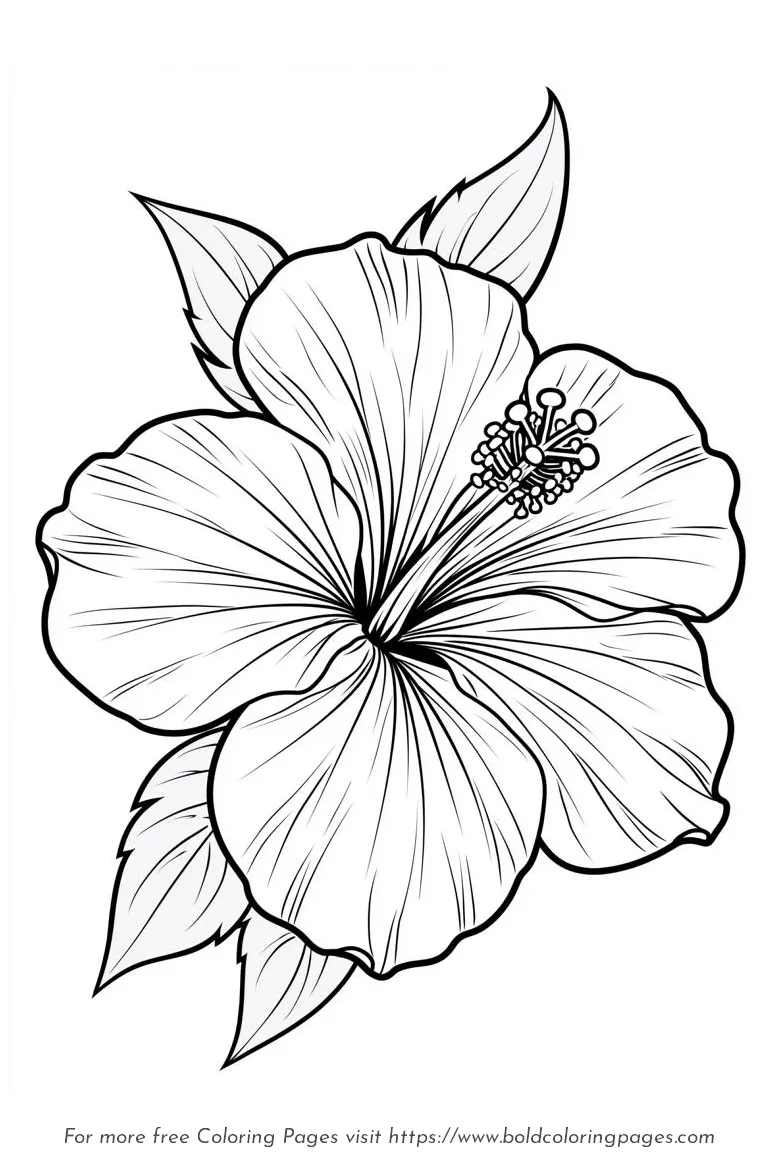 Large Print Single Hibiscus Open Bloom Coloring Page