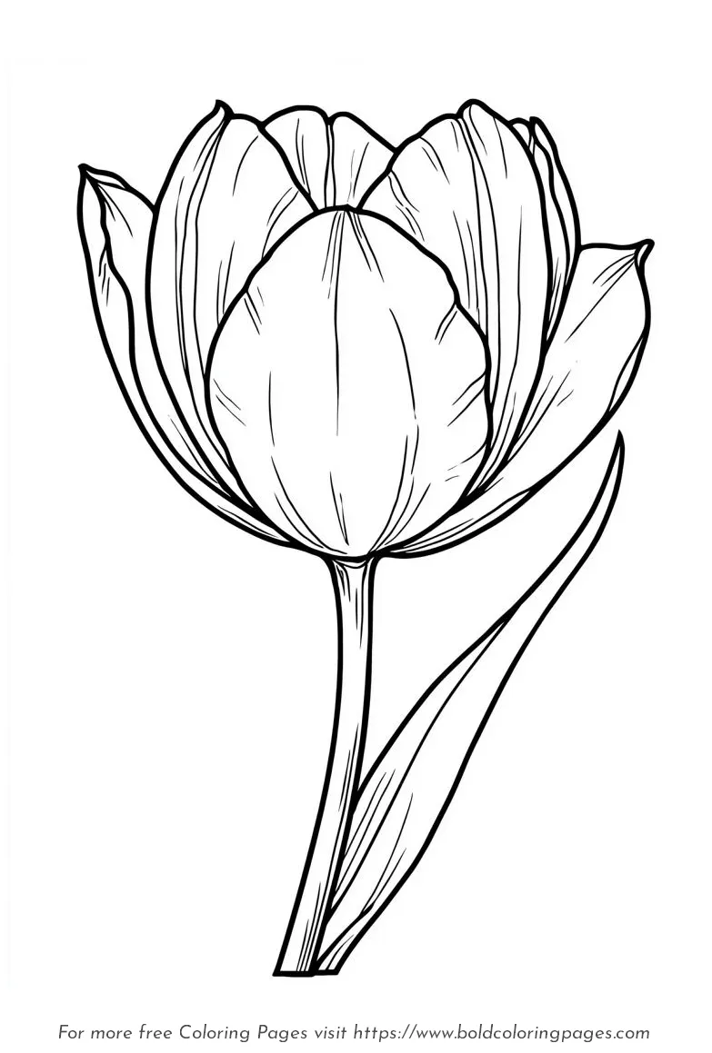 Large print tulip cup shape coloring page with bold outlines.
