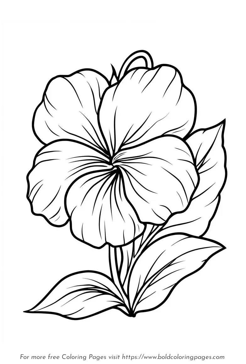 Large print violet with rounded petals coloring page.