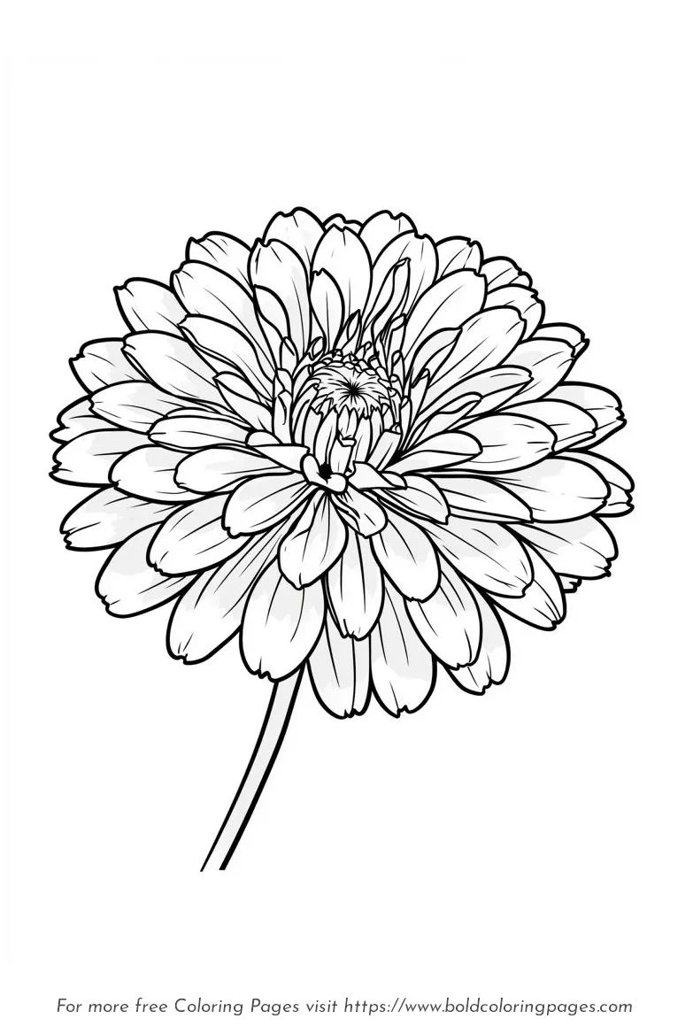 Large print zinnia with flat petals coloring page.