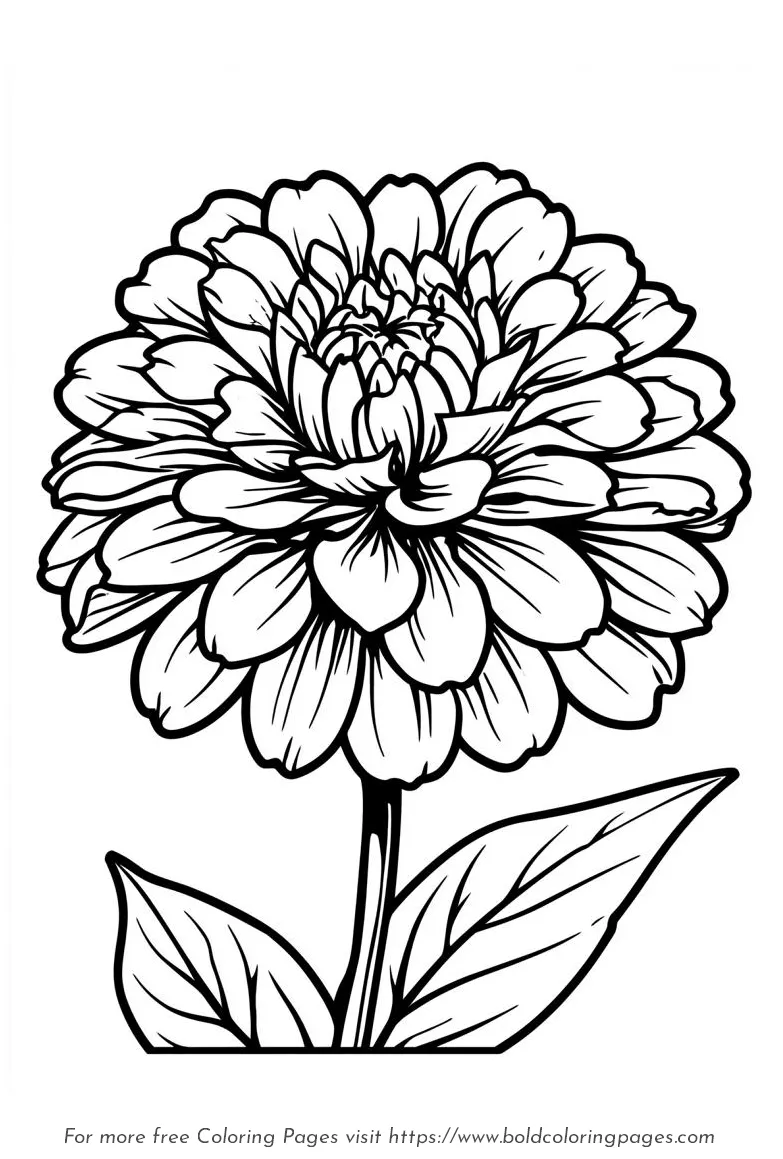 Large print zinnia layered bloom coloring page.