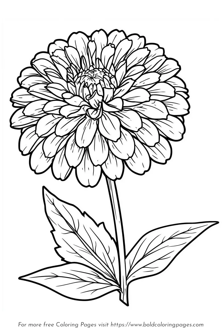 Large print zinnia single stem coloring page with bold outlines.