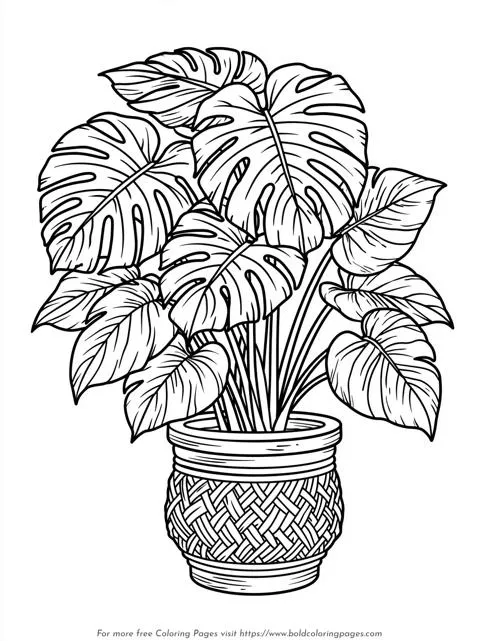 Potted Monstera Plant Coloring Page