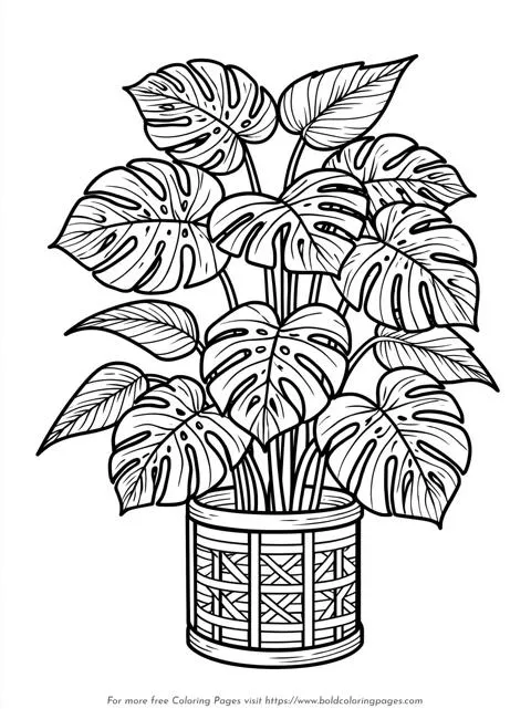 Monstera Plant Basket Coloring Page
