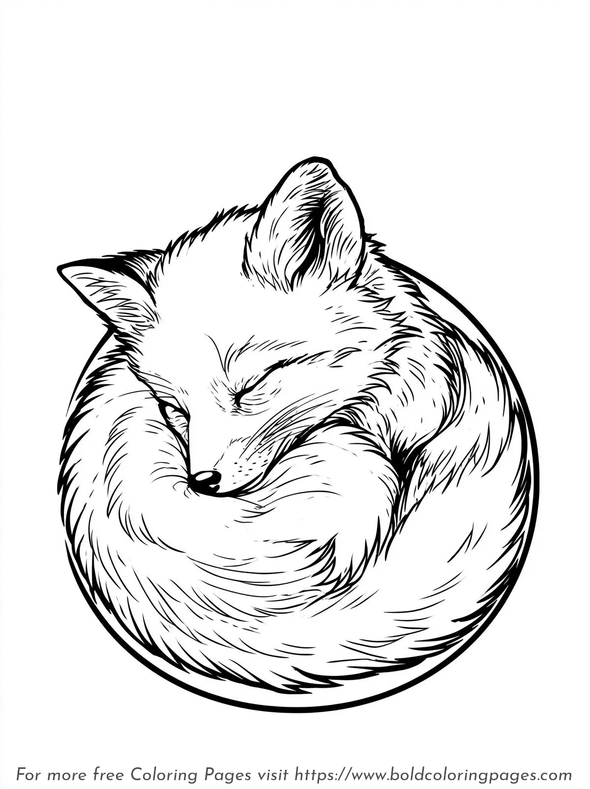 Sleeping Fox Cub Coloring Page
