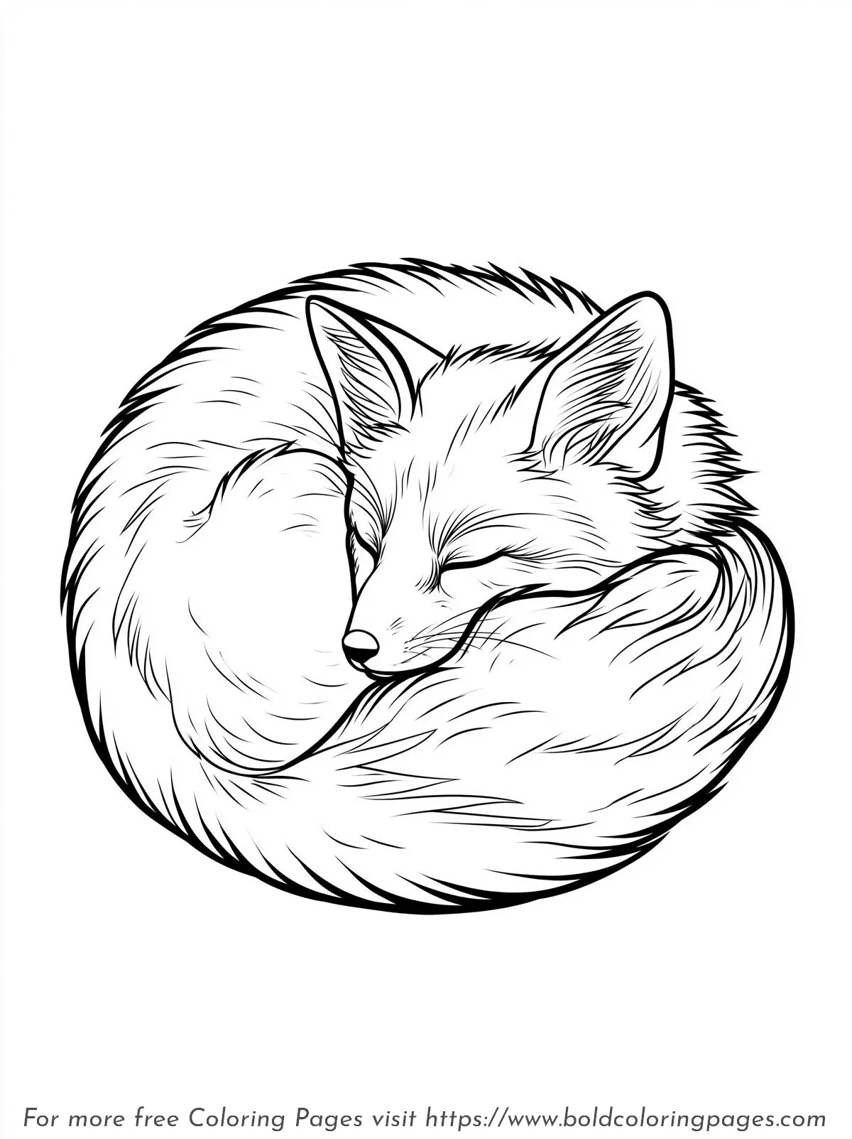 Curled Sleeping Fox Coloring Page
